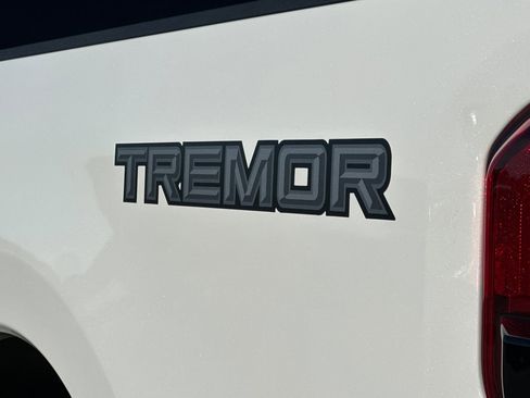 New 2026 Ford F250 Platinum w/ Tremor Off-Road Package image 23