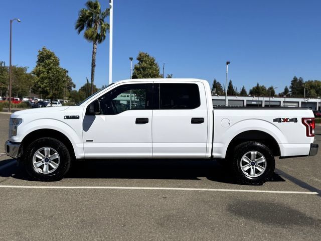 Used 2015 Ford F150 XLT AWD/4WD image 8