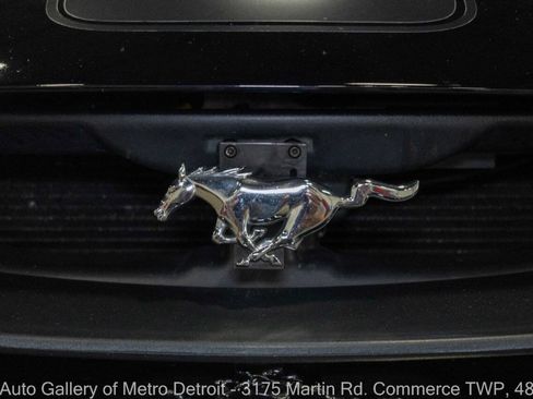 Used 2004 Ford Mustang Mach 1 RWD image 25