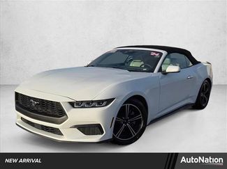 Used 2024 Ford Mustang Premium video 1