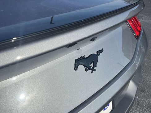 New 2025 Ford Mustang Coupe w/ Mustang Nite Pony Package image 21