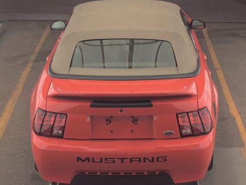 Used 2001 Ford Mustang Premium RWD image 6