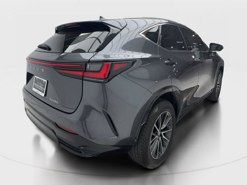 Used 2025 Lexus NX 250 FWD w/ Cold Area Package image 7