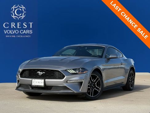 Used 2023 Ford Mustang Premium image 1