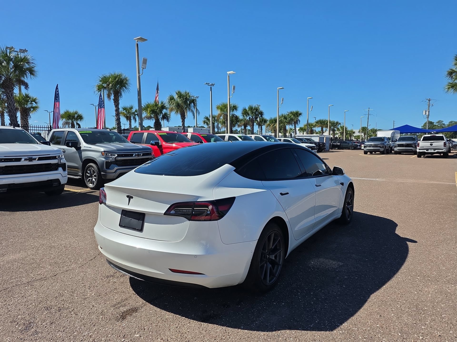 Used 2021 Tesla Model 3 Standard Range Plus RWD image 5