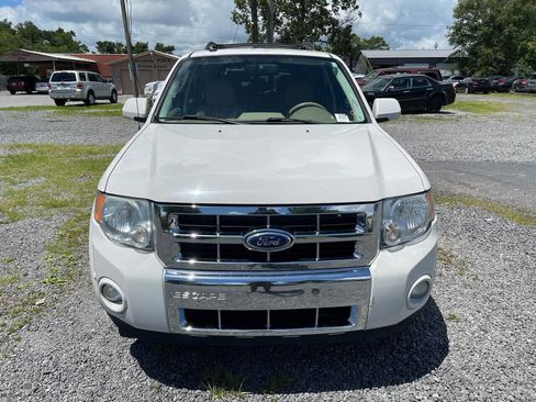 Used 2011 Ford Escape Limited w/ 302A Rapid Spec Order Code image 3