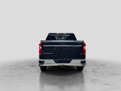 Used 2019 Chevrolet Silverado 1500 LT w/ All-Star Edition
