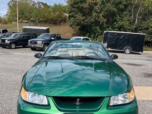 Used 1999 Ford Mustang Cobra RWD image 7