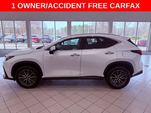 Certified 2024 Lexus NX 250 FWD w/ Cold Area Package image 5