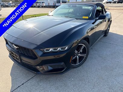 Used 2024 Ford Mustang Premium