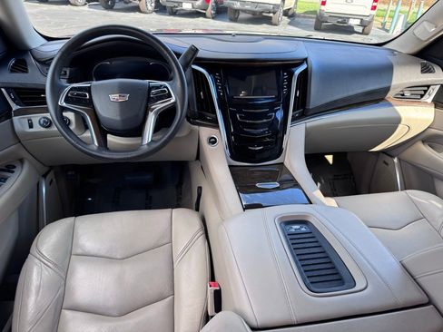 Used 2019 Cadillac Escalade Luxury image 5