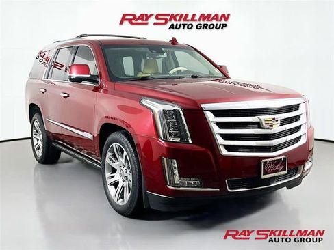 Used 2016 Cadillac Escalade Premium AWD/4WD image 1