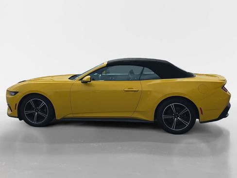 Used 2024 Ford Mustang Premium image 7