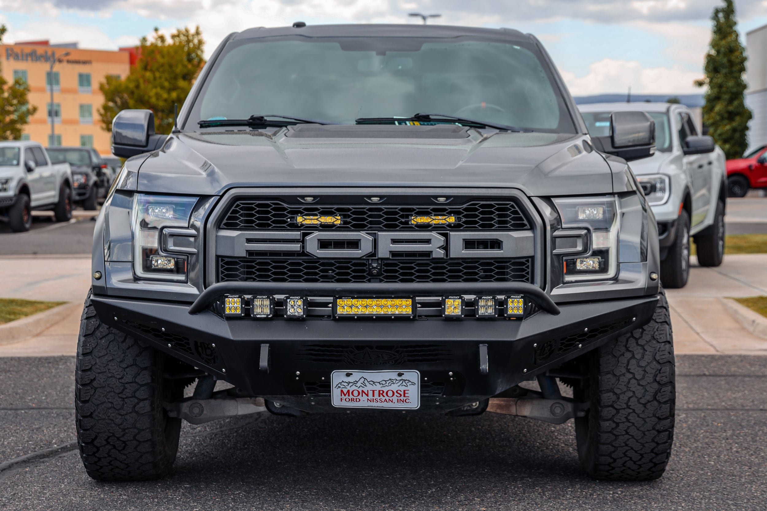 Used 2018 Ford F150 Raptor w/ Equipment Group 802A Luxury AWD/4WD image 2