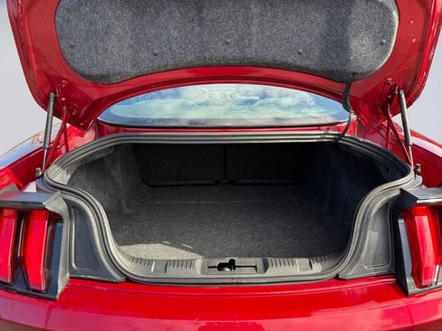 Used 2019 Ford Mustang Coupe w/ Equipment Group 101A image 19