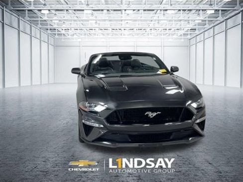 Used 2019 Ford Mustang GT Premium w/ Equipment Group 401A RWD image 4