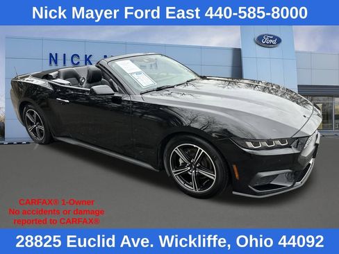 Used 2025 Ford Mustang Premium image 1