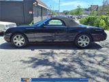 Used 2005 Ford Thunderbird image 4