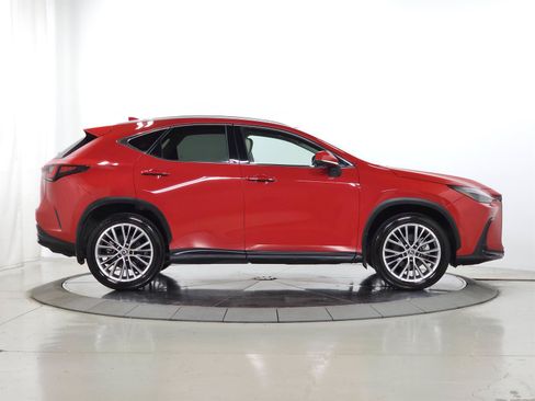 Certified 2025 Lexus NX 350 AWD w/ Cold Area Package image 12