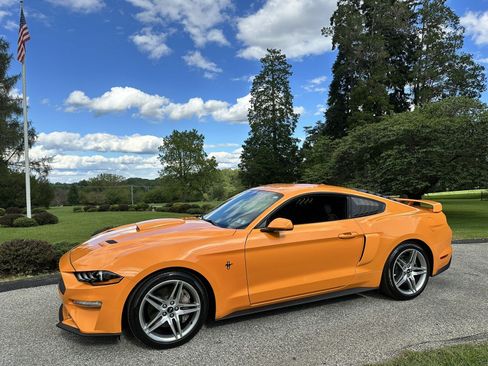 Used 2019 Ford Mustang Coupe w/ Ecoboost Performance Package RWD image 5