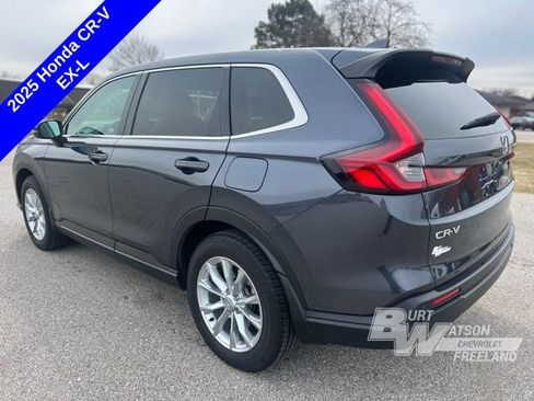 Used 2025 Honda CR-V EX-L image 3