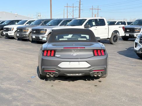 New 2026 Ford Mustang Premium image 14