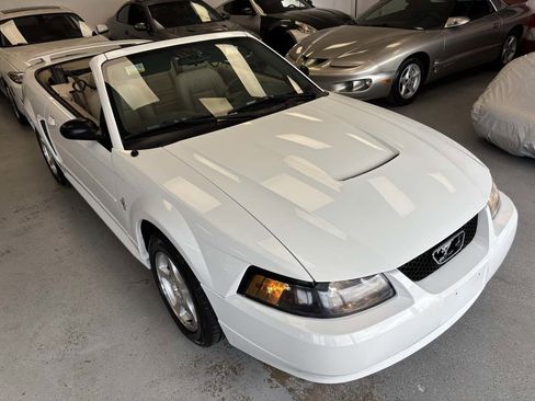Used 2003 Ford Mustang Deluxe RWD image 17