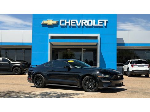 Used 2019 Ford Mustang Coupe w/ Ecoboost Performance Package RWD image 40