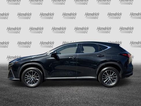 Used 2025 Lexus NX 250 AWD w/ Premium Package image 8