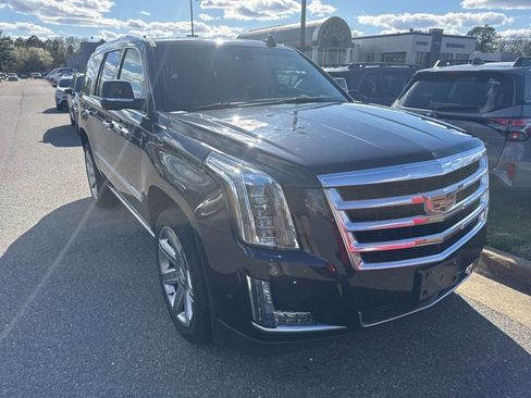 Used 2019 Cadillac Escalade Premium Luxury image 1