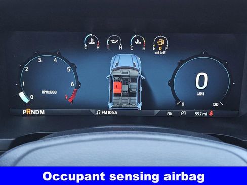 New 2025 Ford F150 STX w/ Equipment Group 200A image 19