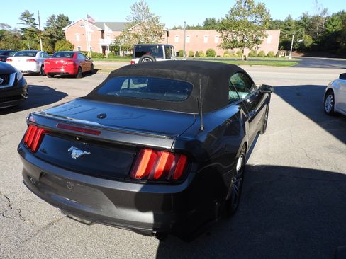 Used 2017 Ford Mustang Premium image 6