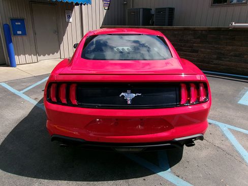 Used 2019 Ford Mustang Premium w/ Pony Package image 6