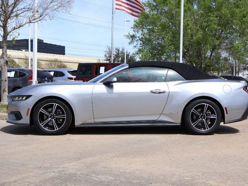 Used 2024 Ford Mustang Premium RWD image 3