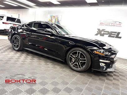 Used 2019 Ford Mustang Coupe w/ Equipment Group 101A