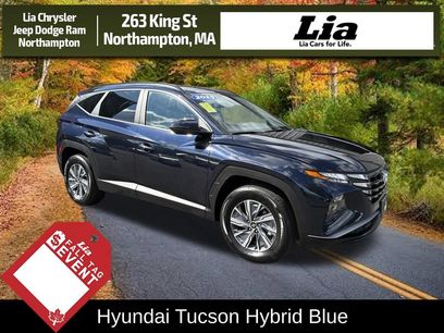 Used 2023 Hyundai Tucson Blue