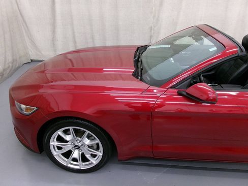 Used 2015 Ford Mustang Premium w/ Equipment Group 201A RWD image 6