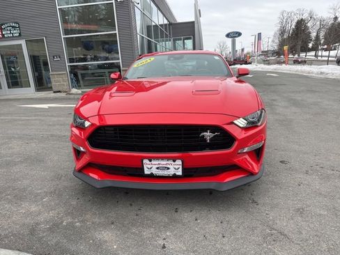 Used 2021 Ford Mustang GT Premium w/ Equipment Group 401A image 3