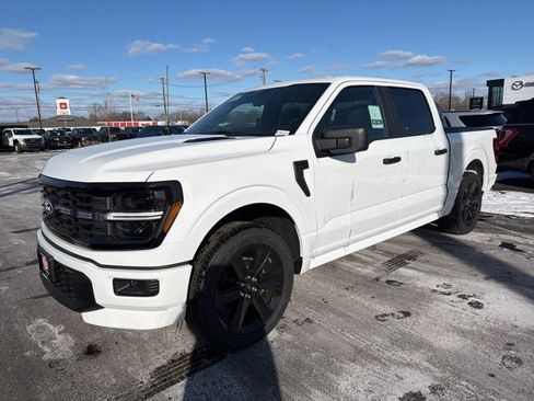 New 2025 Ford F150 STX w/ LOBO Package image 3