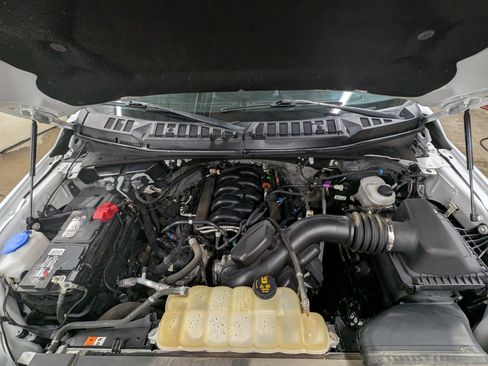 Used 2019 Ford F150 XLT w/ Equipment Group 301A Mid image 4