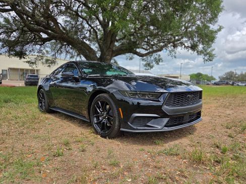 New 2026 Ford Mustang Coupe w/ Mustang Nite Pony Package image 3