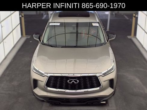 Used 2023 INFINITI QX60 Luxe w/ Performance Audio Package AWD/4WD image 10