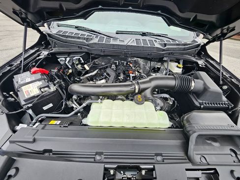 New 2025 Ford F150 XLT w/ Equipment Group 302A MID image 29