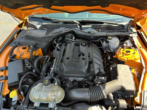 Used 2019 Ford Mustang Premium w/ Equipment Group 201A image 12