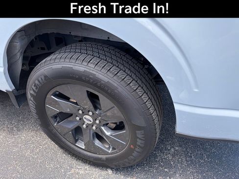 Used 2025 Ford F150 STX w/ Equipment Group 200A RWD image 6
