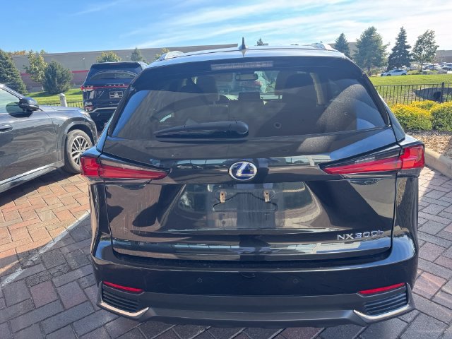 Used 2020 Lexus NX 300h AWD w/ Premium Package image 3