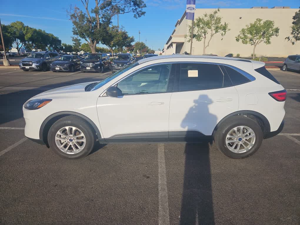 Used 2022 Ford Escape SE AWD/4WD image 4