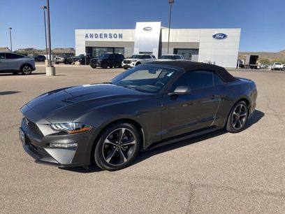 Certified 2019 Ford Mustang Convertible w/ Equipment Group 101A