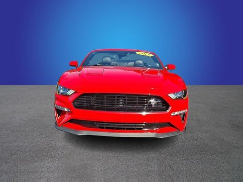 Used 2019 Ford Mustang GT Premium w/ Equipment Group 401A RWD image 2