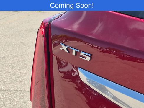 Used 2024 Cadillac XT5 Premium Luxury AWD/4WD image 12
